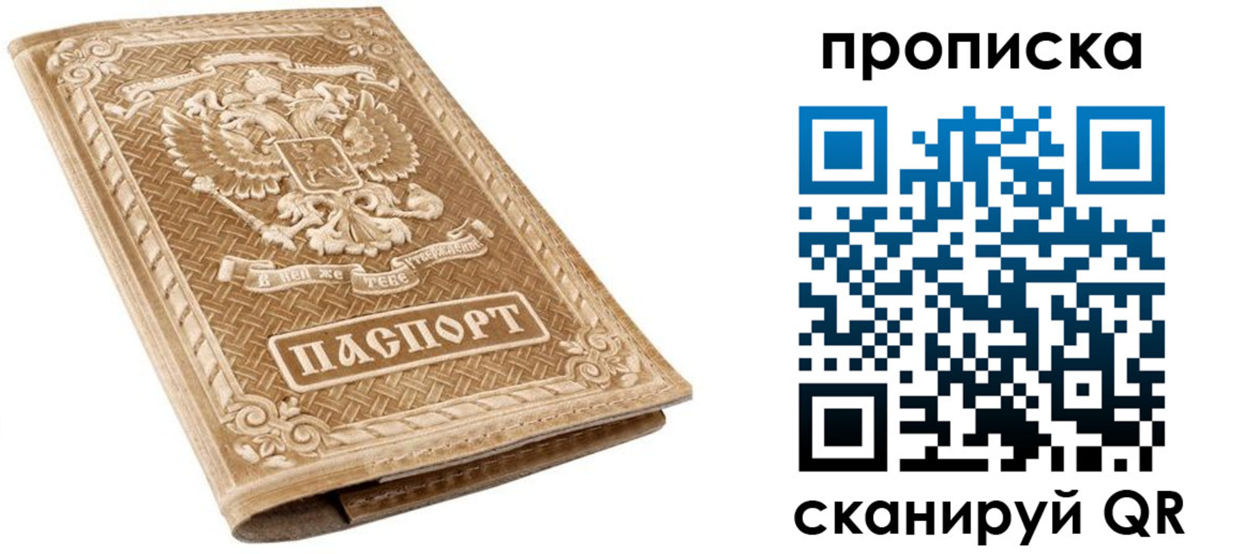 временная регистрация госуслуги в Петропавловске-Камчатском